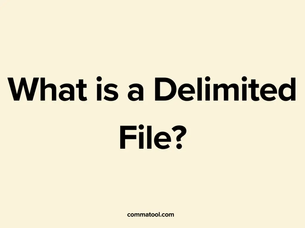 What is a Delimited File?